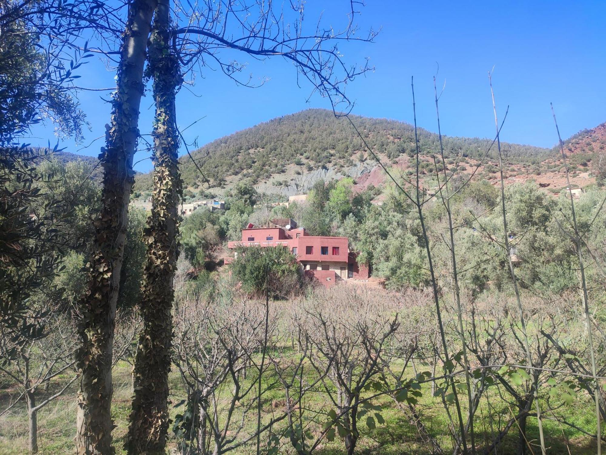 Hotel Chez Yahia, Au Coeur De L'Ourika Exteriér fotografie