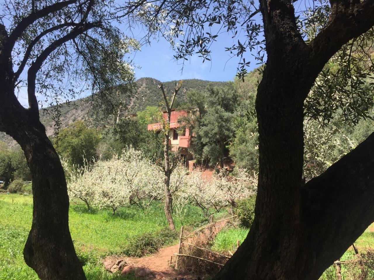Hotel Chez Yahia, Au Coeur De L'Ourika Exteriér fotografie